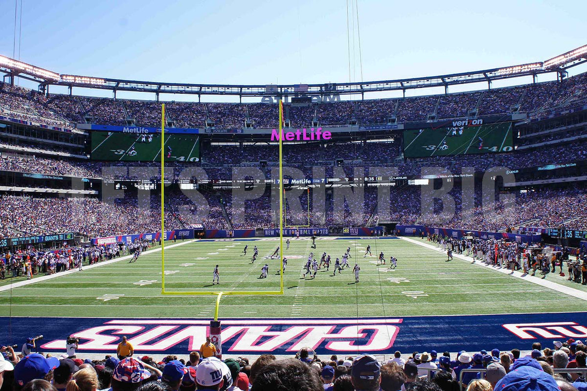 MetLife Stadium Wall Mural, Football Stadium