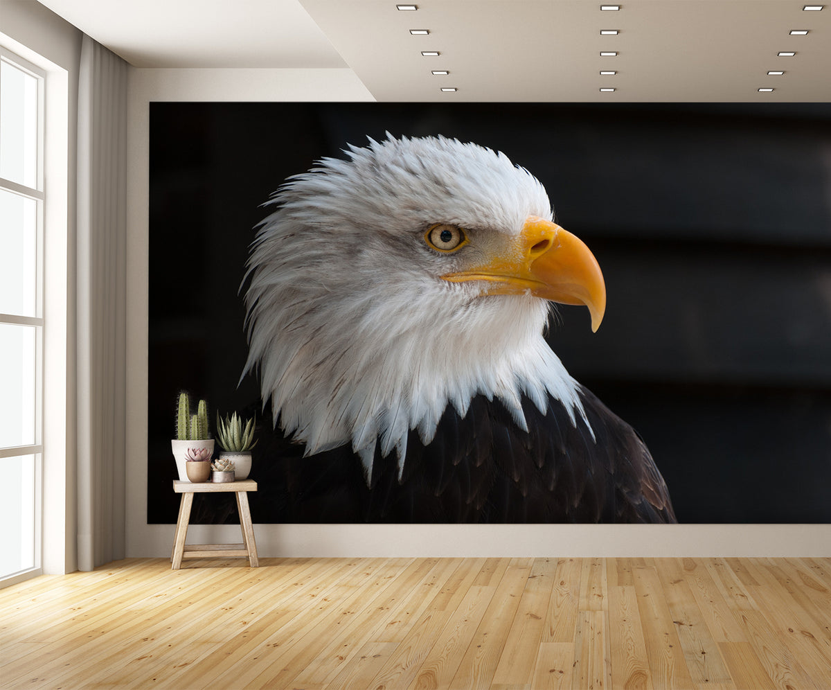 Bald Eagle Art Mural Wallpaper – Let's Print Big