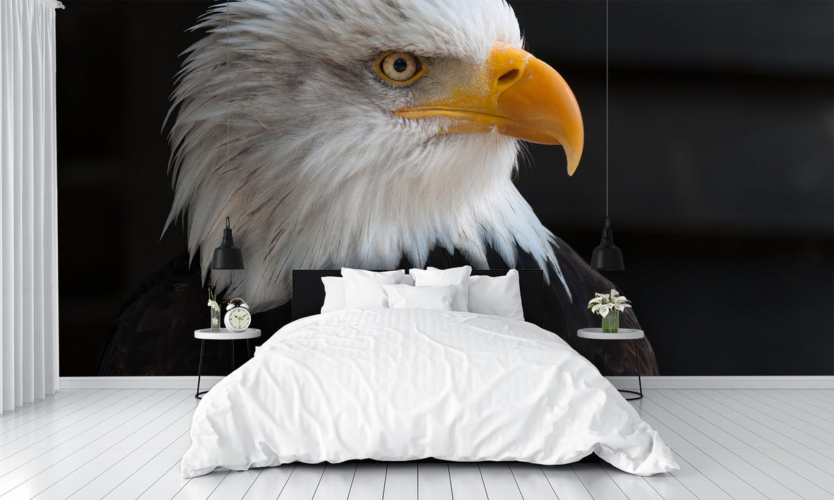 Bald Eagle Art Mural Wallpaper – Let's Print Big